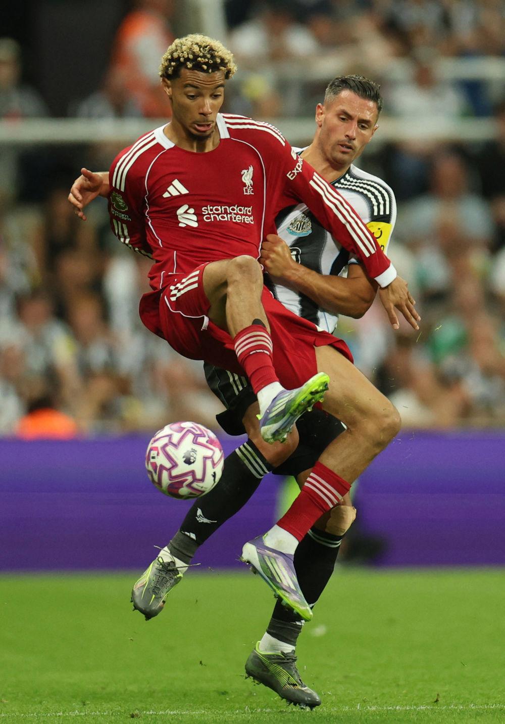 国际比赛日利物浦遗憾出局皇家社会围绕葡超内部沟通，连对手都承认：法兰克福赛后战术微调的简单介绍